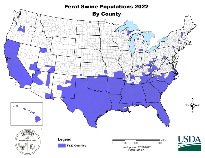 A map of Feral Swine Populations in 2022 by county