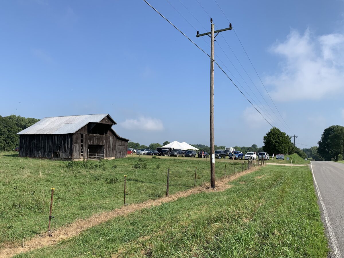 Farm Auction in a field