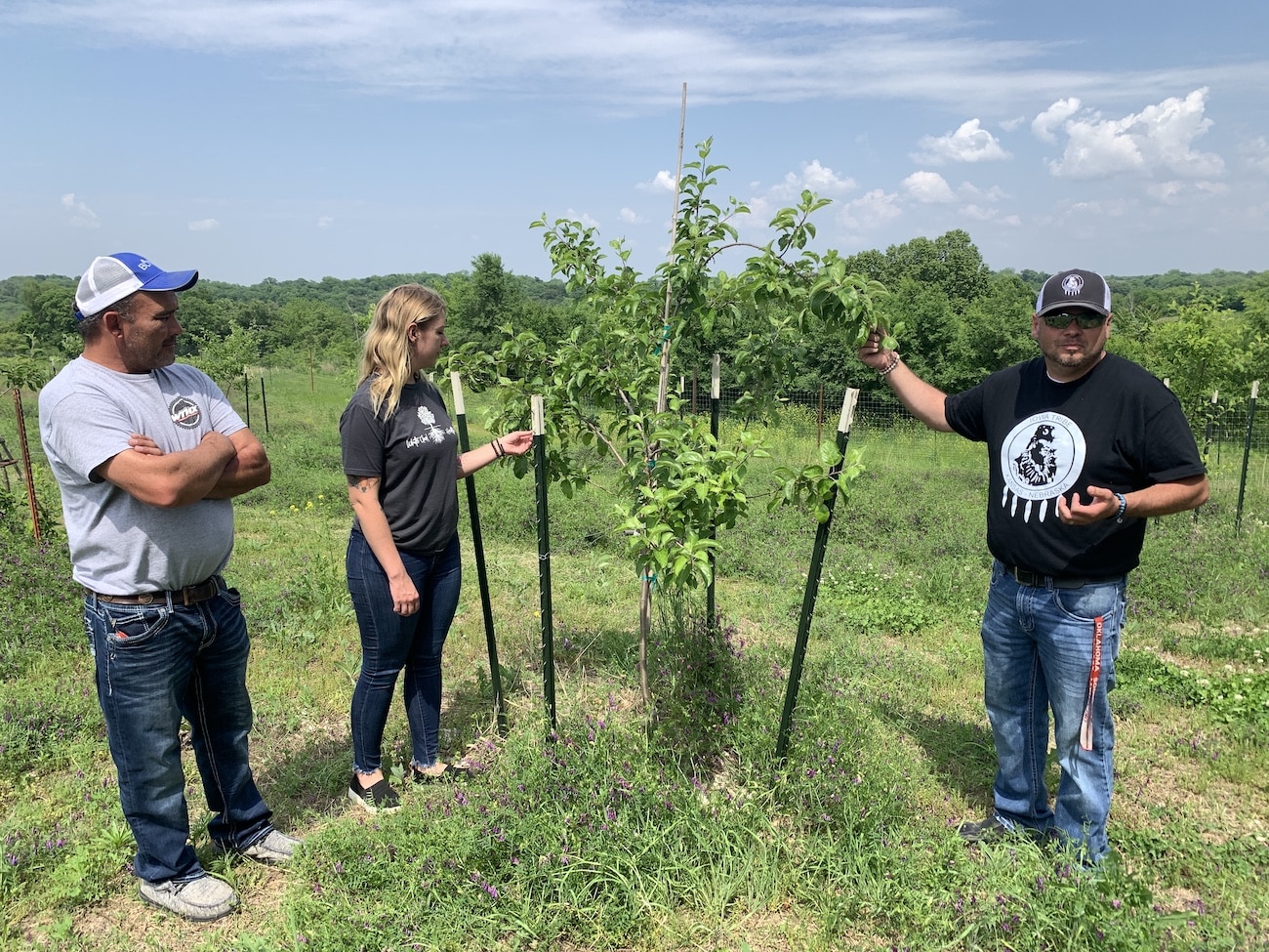 Regenerative Agriculture on Native American Tribal Farms: Combining Tradition with Innovation