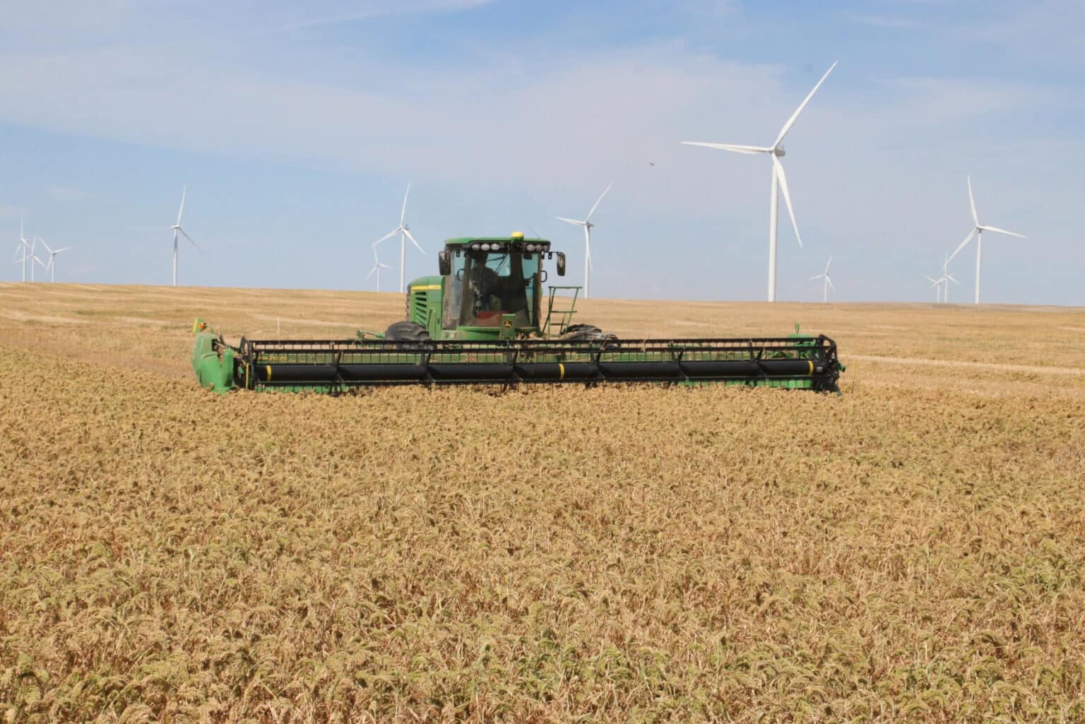 Drought Resistant Millet, a Crop for Climate Change