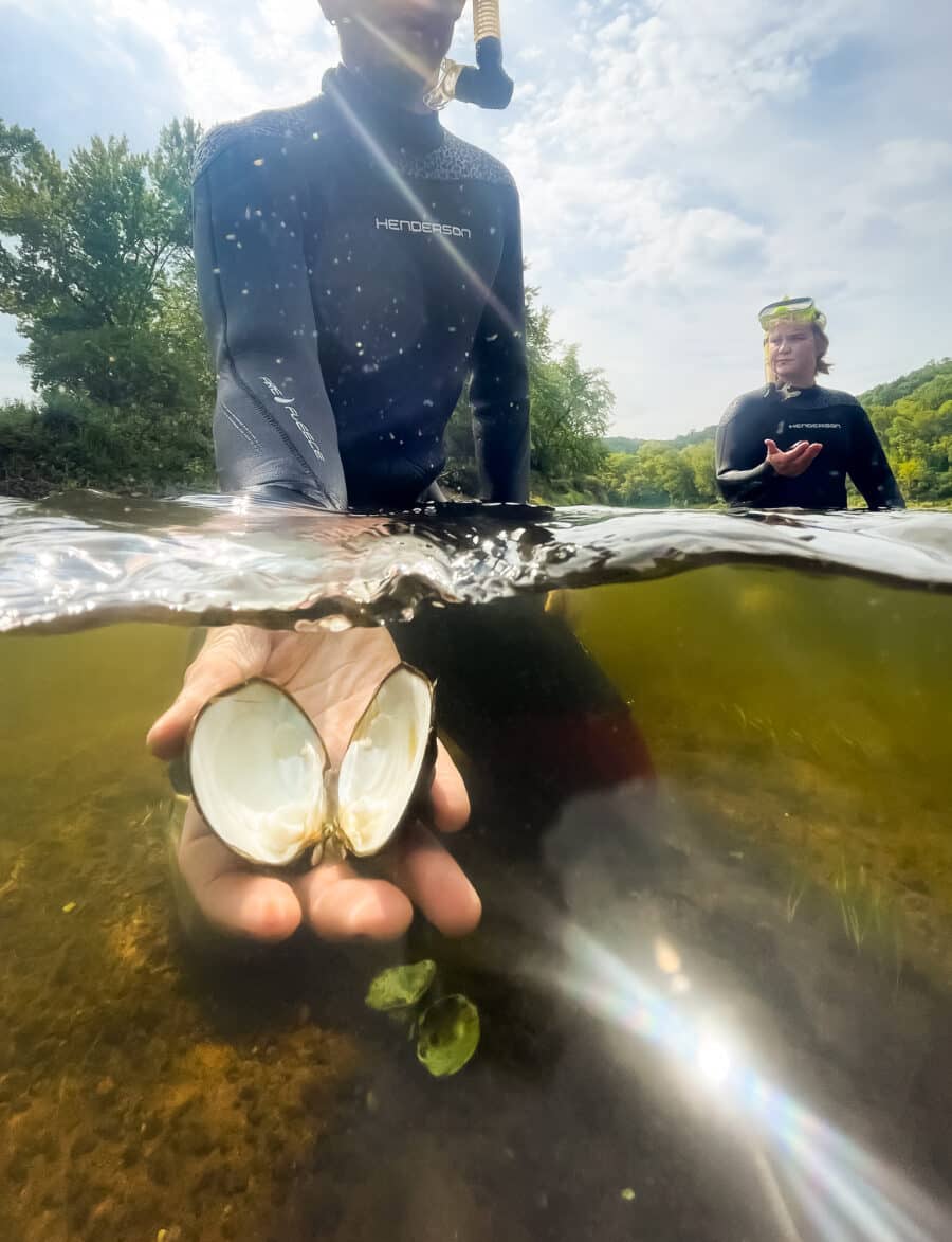 Gage Valeri, Biological Science Technician at the United States Geological Survey (USGS), holds out a mussel shell during a dive for mussels in the St. Croix river in Taylors Falls, MN on September 11, 2023.